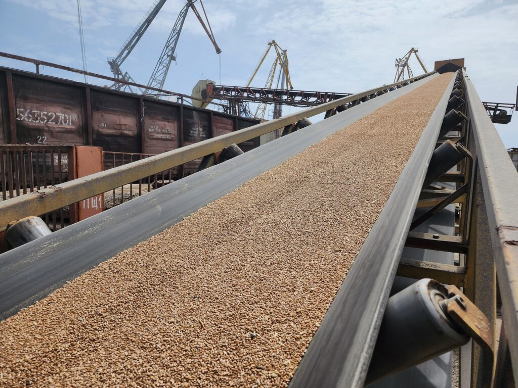 Agriculture Conveyor Systems