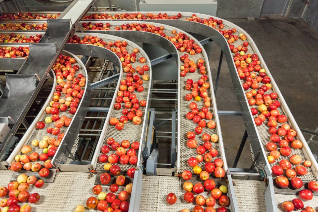 Agriculture Conveyor Systems