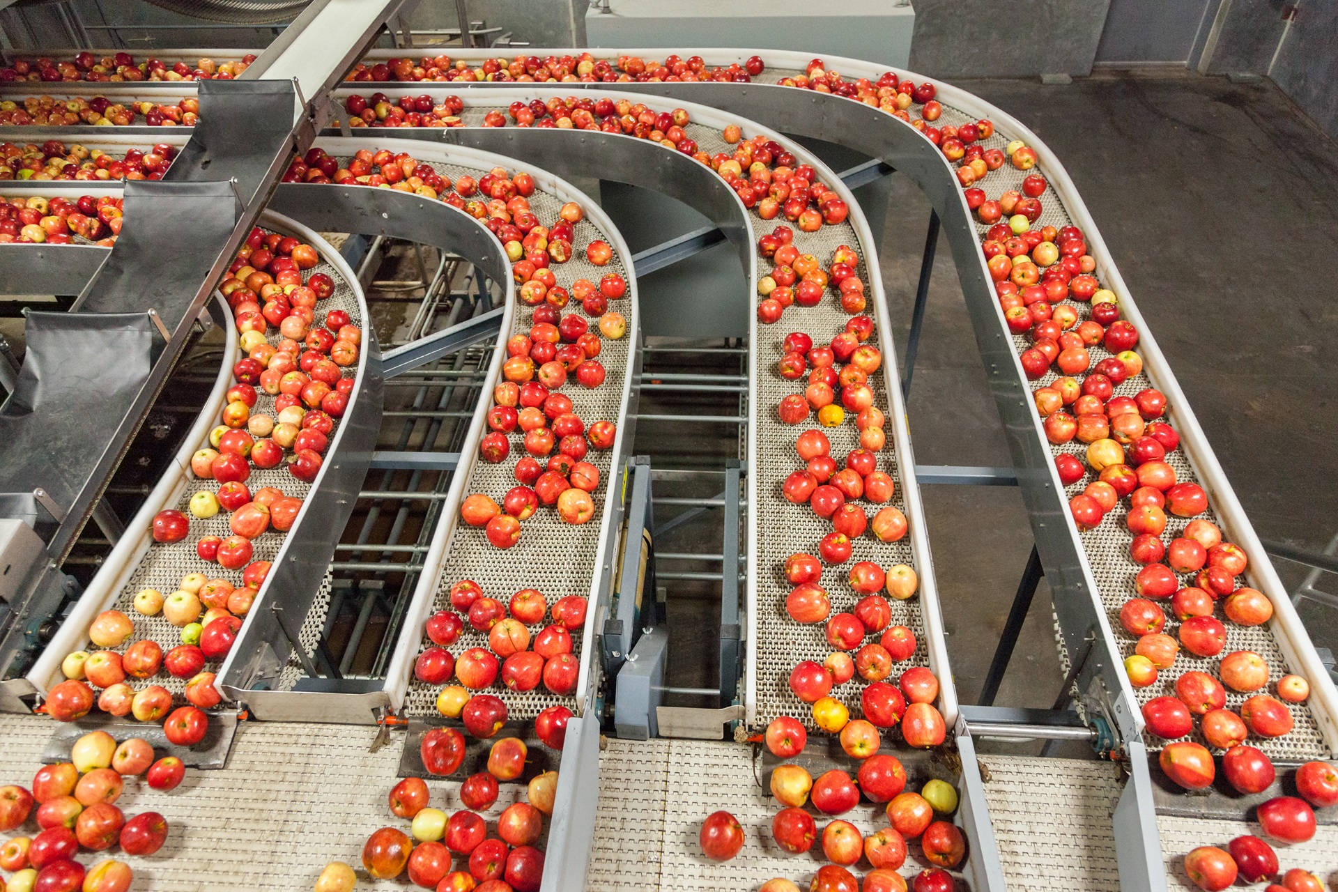 Agriculture Conveyor Systems