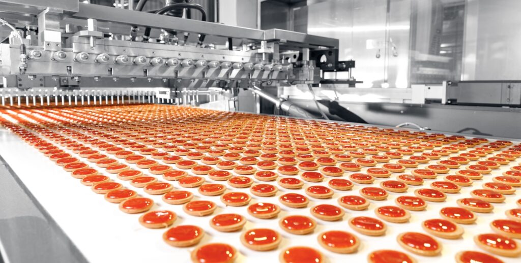 Food Industry Conveyor Systems